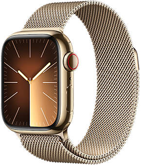 apple watch series 9 lte 41mm edelstahl gold 1